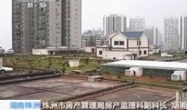 株洲新楼顶爆料最新消息,揭秘神秘建筑背后的惊人真相